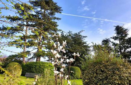 Escapade nature à deux dans un gîte cosy bordé d'un parc arboré - Foto 19