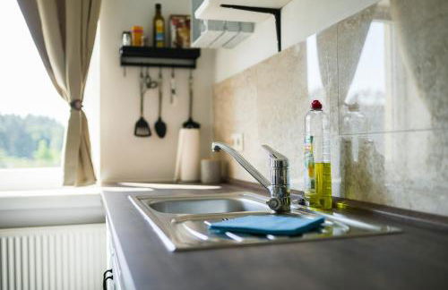 Black Tiger Seaside - Ferienwohnungen direkt am See - Foto 20