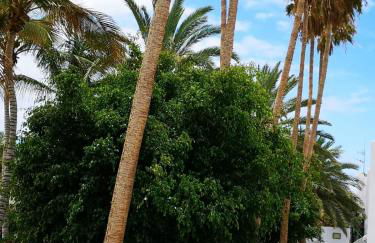 Estrella de Mar - Photo 34