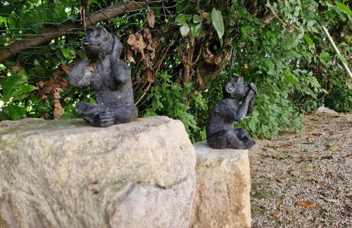 l'olivier, le loft de la Grange - Foto 39