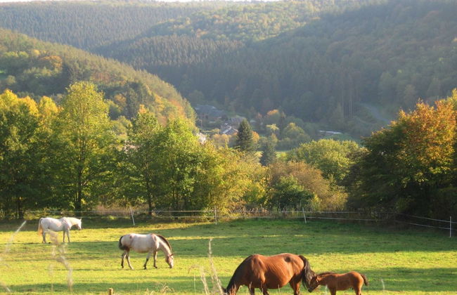 Pretty Cottage Ardennes near Valley of Lesse & Semois - Foto 32