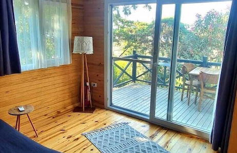 Sole Foca ( Ages 12+ ) - Foto 33