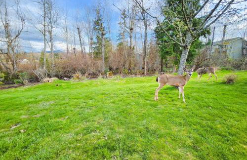 Cozy and Relaxing Private Getaway Full Amenities - Foto 13