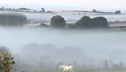 Novelist Shepherd's hut - Foto 5