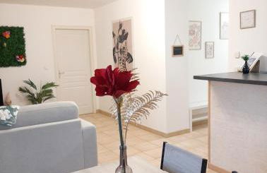 proche aéroport a pied O fleuri - Foto 1