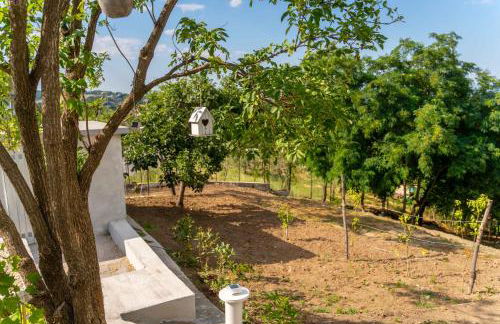 Villa Romantica con Bosco sulla Strada dei Vini - Photo 34