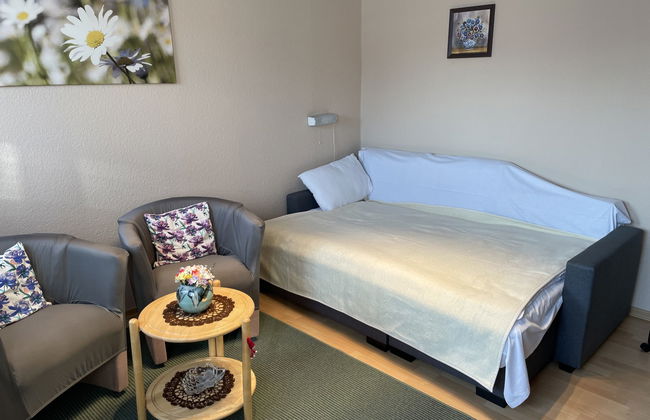 Old Hüsung (MUZ322) - Foto 25