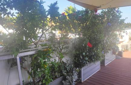 CASA OKSANA - Foto 59