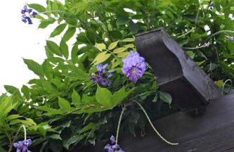 Castè Style near Cinque Terre - Foto 35