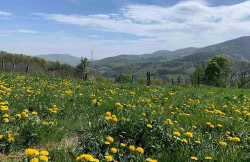 Ferme La Tourelle, nature & vue exceptionnelle - Foto 13