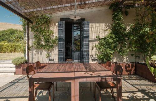 Podere San Pasquale - La Vigna - Foto 6