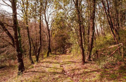 Villa de Luccheri - Foto 60