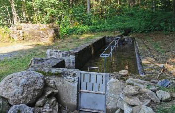 AnNo - Die Wohlfühl - Idylle in Grünbach_Kirchdorf - Foto 31