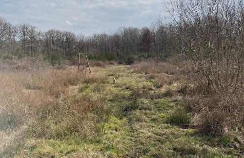 Gîte cosy en Sologne, nature et pêche, tout inclus - FR-1-590-549 - Foto 17