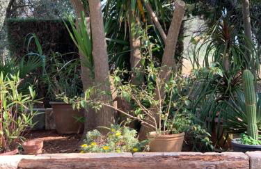 CASALE SOFIA E MARIAGIULIA - Foto 10