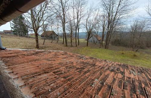 Šumski san - Foto 46