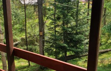 Domki letniskowe pod Brzozami Stella - Photo 18