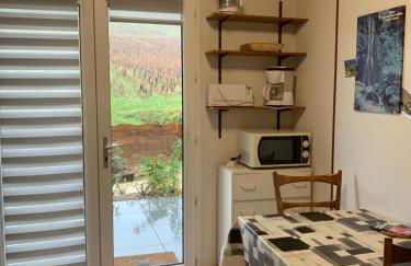 le gite des vignes Studio tout confort 1 chambre dans le vignoble Franche Comte Arbois - Foto 9