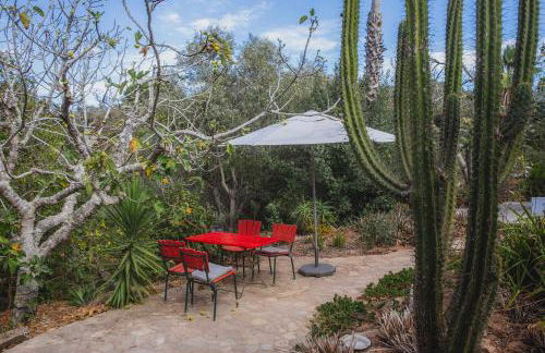 Três Figos - Foto 35