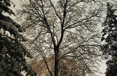 King Bed - 5 Min to MOA - 75 & 65' HDTV - Ping Pong - Foto 32