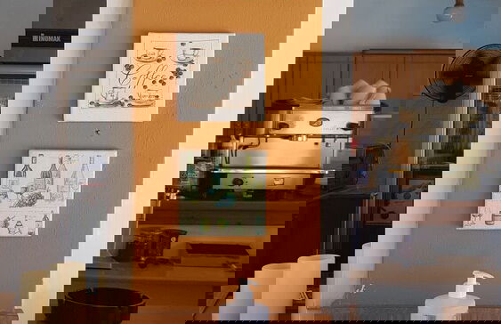 Aspro Spiti - Photo 41