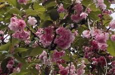 Cozy Cape Cod - Foto 61