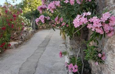 Παραδοσιακή κατοικία "ΧΡΥΣΑ" ΑΝΑΒΑΤΟΣ - Photo 31