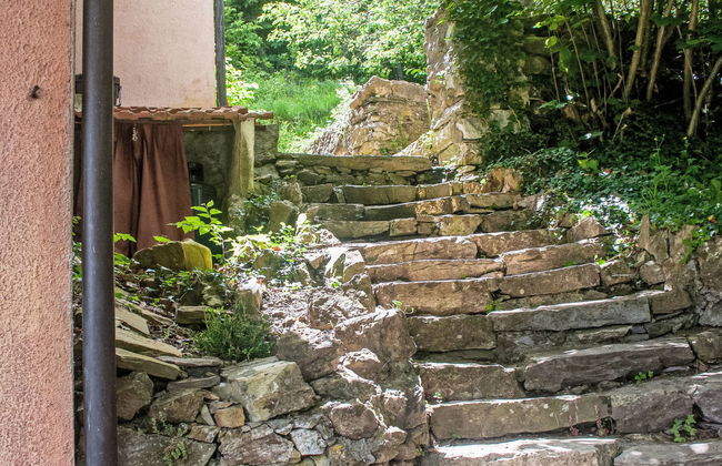 Serena (COX100) - Foto 11