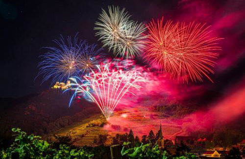 GÎTE **** L'ATELIER DU TONNELIER - Foto 32