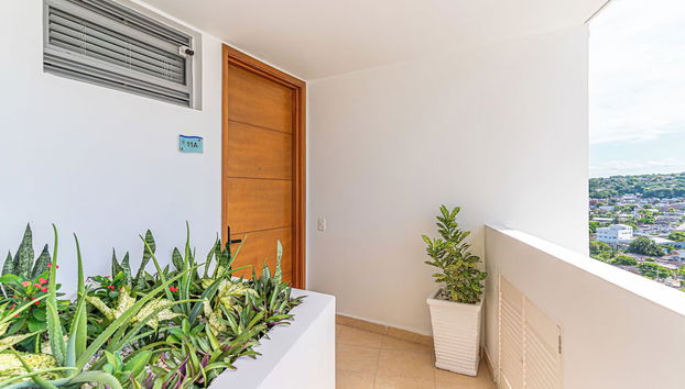 Cartagena Dreams - Foto 2, Recepción