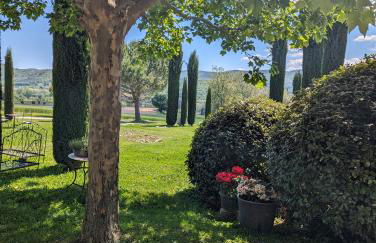 Domaine de la barbeirasse - Foto 32