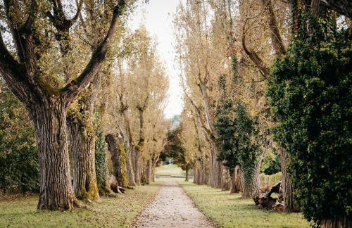 LaMiaCasa Green Large Loft City Close Green Area - Foto 38