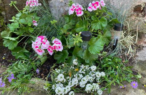 Le Terrier du Katz - Photo 38