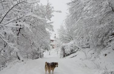 Ipati Forest Chalet - Foto 49