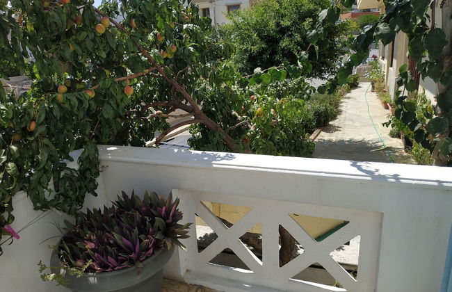 Renia Studios -studio for 2 Pers With a Swimming Pool - Photo 19