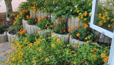 Grande Rosa - Foto 2, Garden