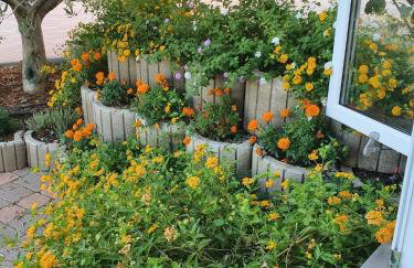 Grande Rosa - Foto 2