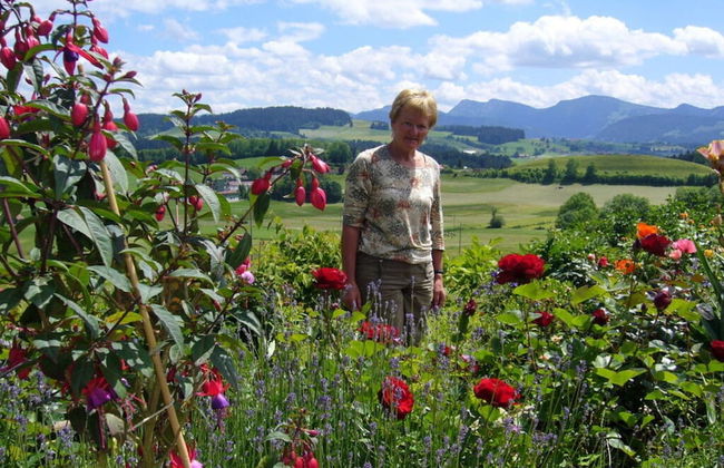 Holiday Apartment Hildegard Birds - Foto 17