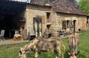 la meyrolette - Foto 25