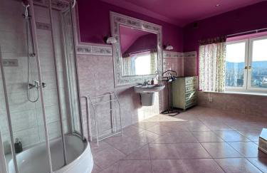 Willa Wicko - Międzyzdroje - apartamenty z aneksem - widok na Zalew Szczeciński - Foto 16