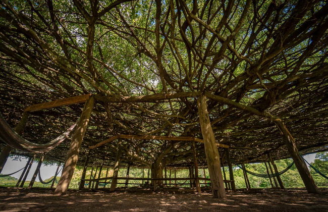 Ingresso do balneário Praia da Figueira - Foto 6