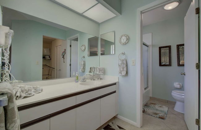 White Pine Court - Foto 15