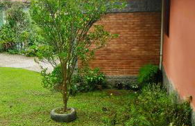 Casa Dona Zezé - Photo 44