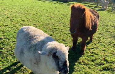 Silverspring Hideaways - Foto 8