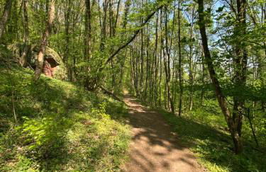 Ferienwohnungen Annweiler am Trifels - Foto 45