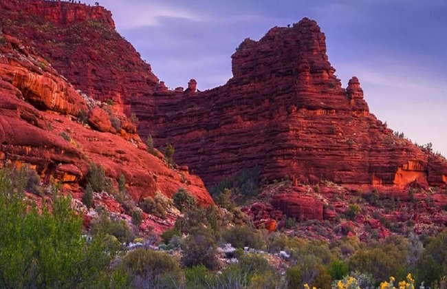 Safari 4x4 por el Outback de Palm Valley - Tour de día completo - Foto 6