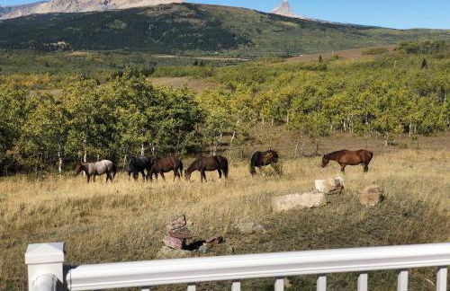 Glacier Lookout-Cozy Villa near Glacier Park Part of the Glacier Ridge Vacation Rental Collection - Foto 13