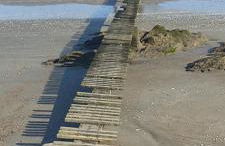 Maison avec jardin à 150 m de la plage - Foto 2