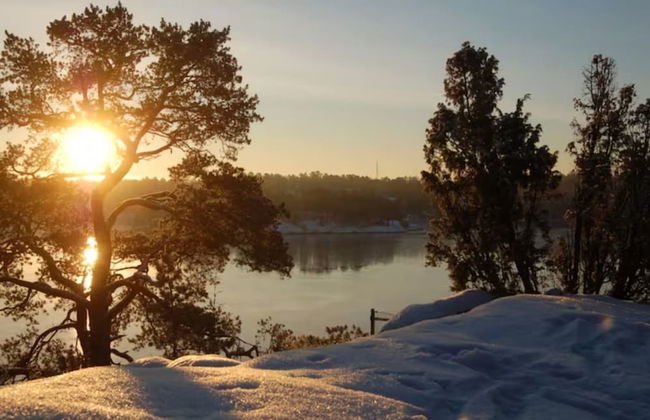Dream Cottage in the Stockholm Archipelago - Foto 2