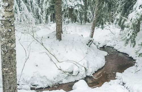 Chalet am Berg - Meredith Lodging - Foto 47